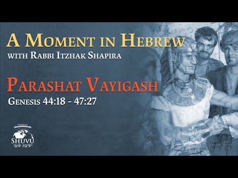 Regah Bivrit Parashat Vayigash  - Up or Down?