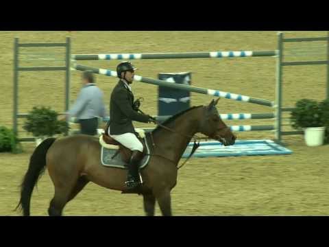 Doha GCT 1m55 - Patrice Delaveau - Carinjo HDC - Jeudi 21 novembre 2013