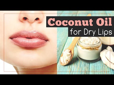 download lagu mp3 mp4 Is Coconut Oil Good For Lips, download lagu Is Coconut Oil Good For Lips gratis, unduh video klip Is Coconut Oil Good For Lips