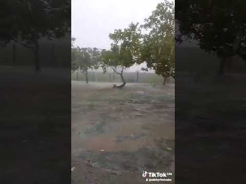 Muita chuva hoje aqui no estado do Para região de Santa Maria das Barreiras Cidade Casa de Tabua
