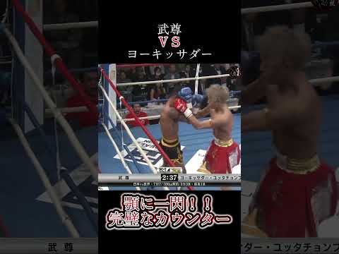 武尊の天才カウンター！！ #切り抜き #堀口恭司 #キックボクシング #格闘技 #格闘技をもう一度地上波へ #武尊 #ko #ヨーキッサダー カウンター