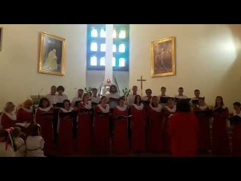 Wierze.Swider.Chor Cantus Cordis.
