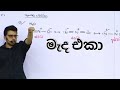 අමිල සර් මෙච්චර ලමයි එලවන්නේ ඇයි මෙන්�
