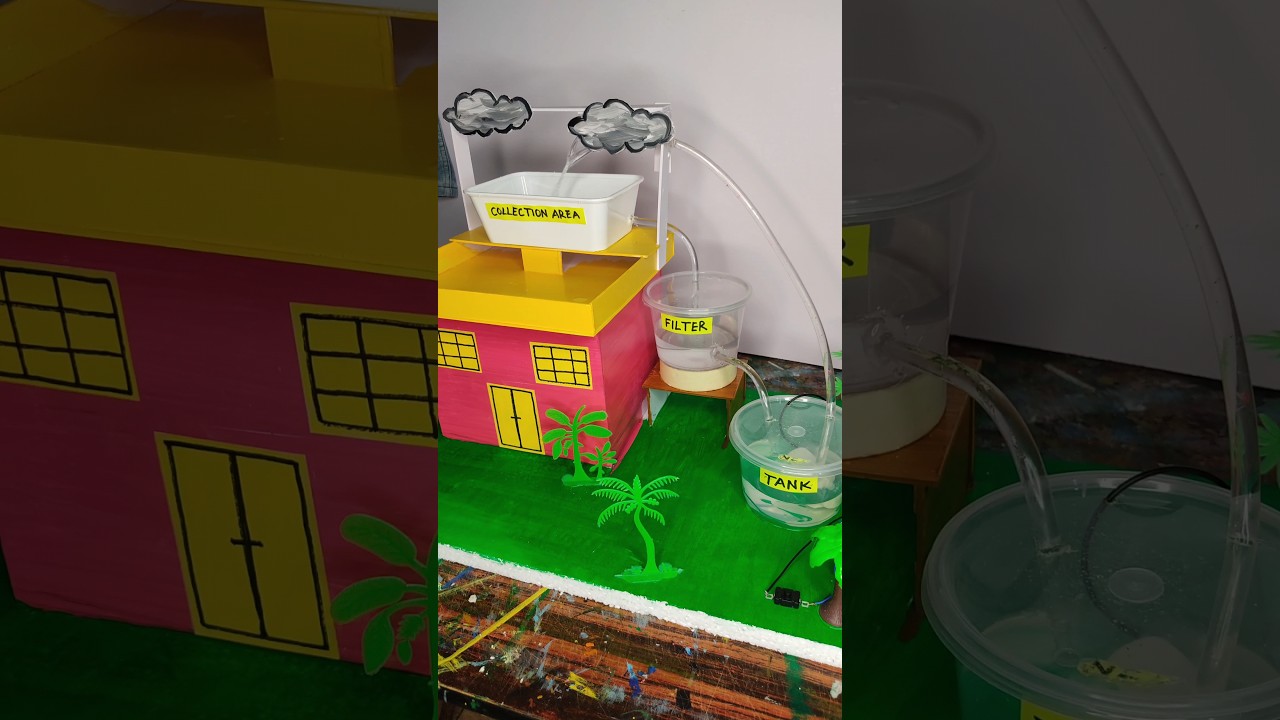 Rainwater Harvesting Model   #science  #newscienceprojectforclass10
