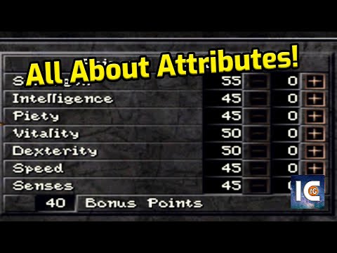WIZARDRY 8 ATTRIBUTES GUIDE / How To make great characters - Tutorial