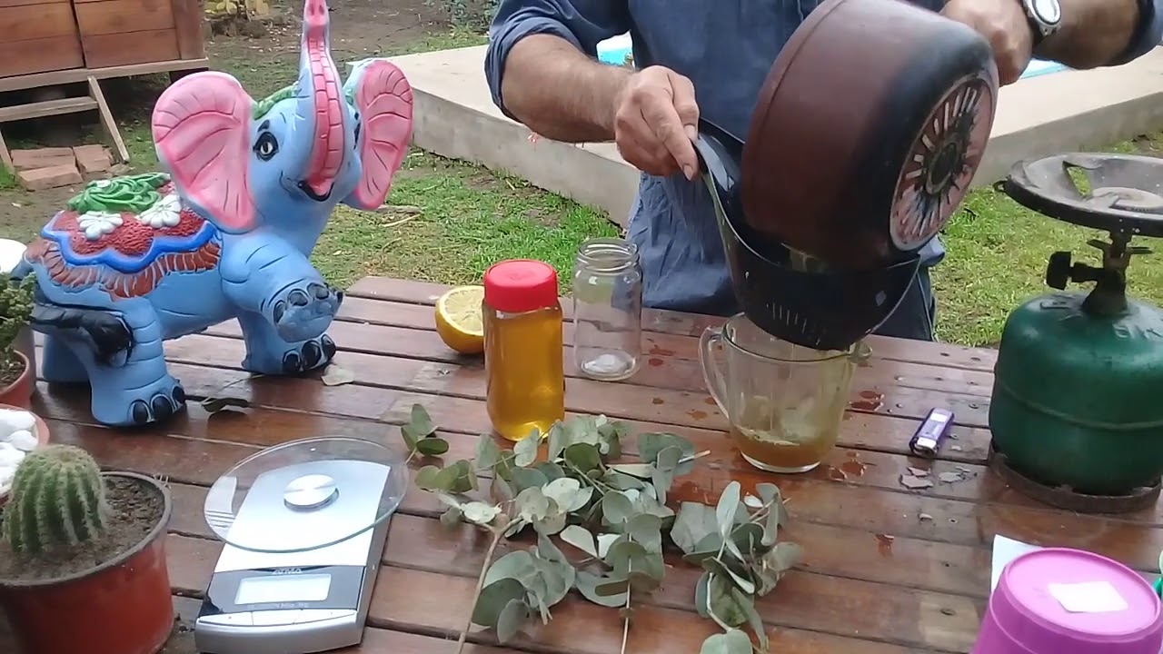 Como hacer jarabe de eucaliptus