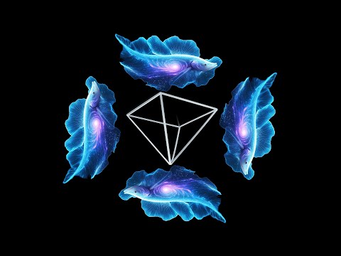 Aquatic Life Hologram 🌊 (4 sided format)