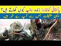 Pakistani SSG Commandos Training Pak Commandos Eating Snake