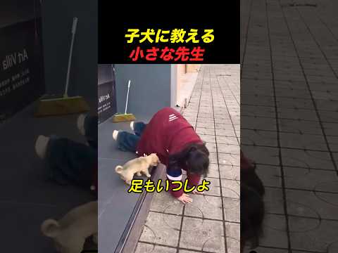 初めてって、こういうこと