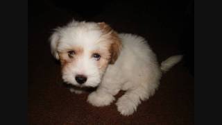 Exhale - Endless Flight