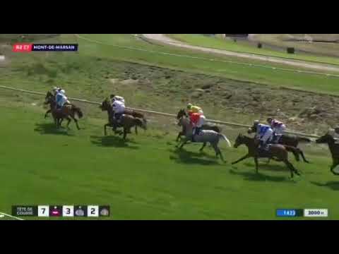 PRIX MAGIC DE PIBOUL WATHBA STALLIONS CUP - B - MONT-DE-MARSAN RACECOURSE | 25/03/2023