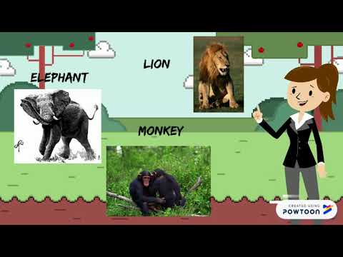 Wild Animal by Teacher Zatul