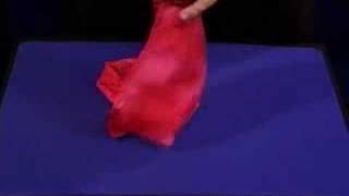 Sylvester Spirit Hanky Demo