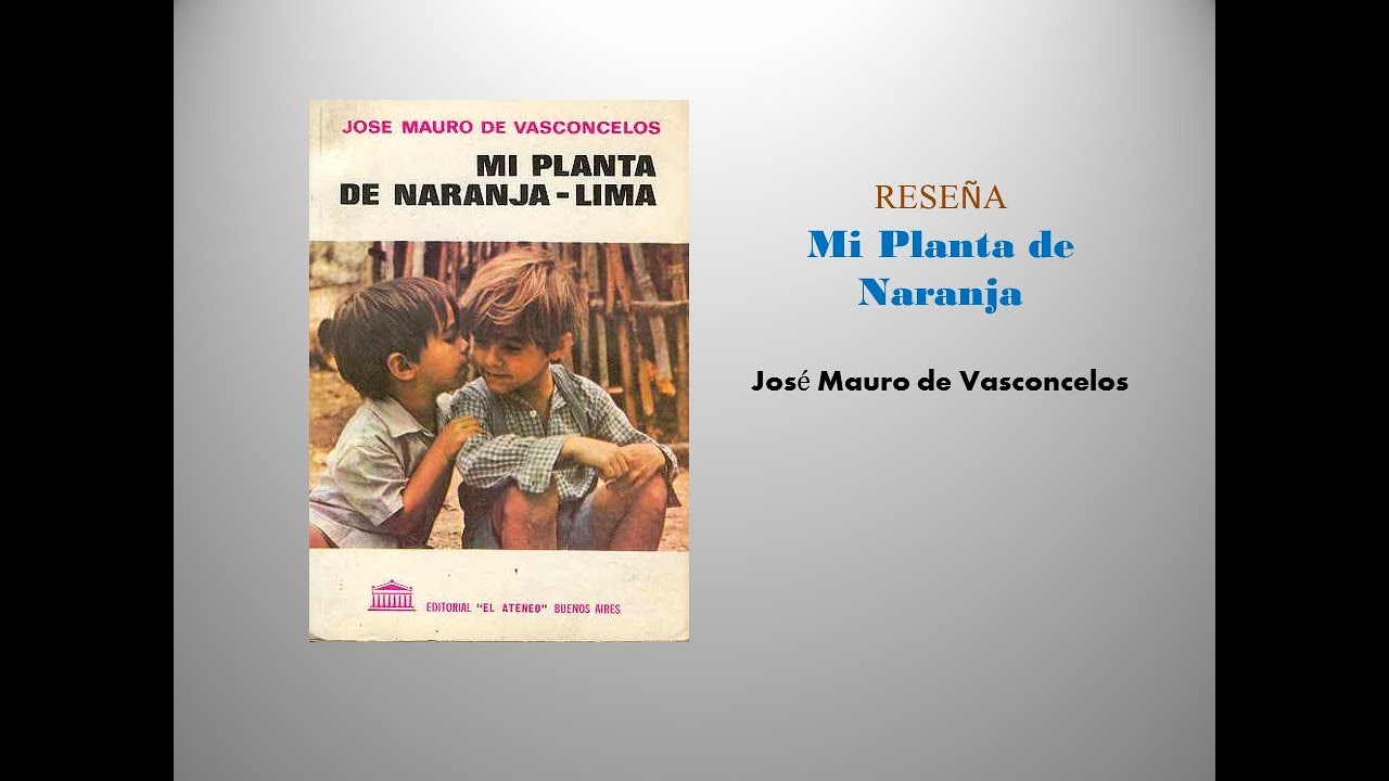 Mi planta de Naranja Lima - Reseña.