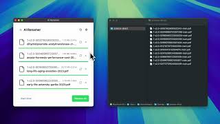 AI Renamer – Rename PDFs with AI
