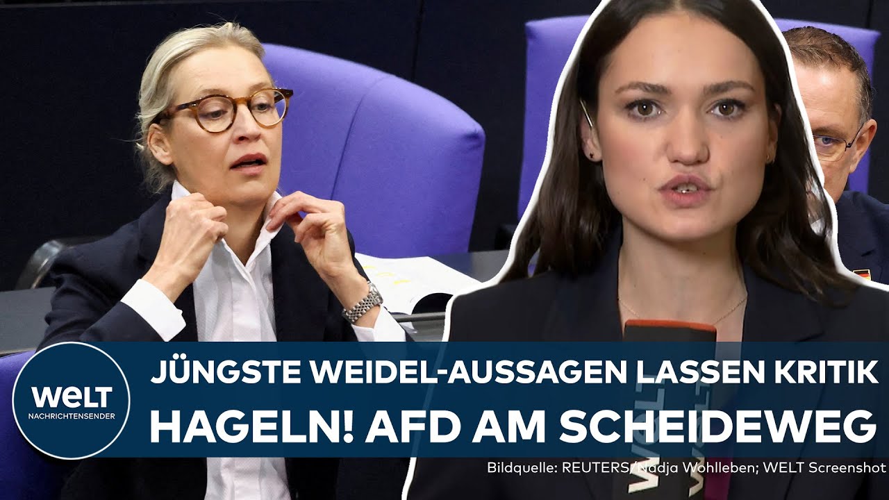 AFD-CHEFIN: Weidel selbst an der Schwelle zur Radikalisierung? Aussagen sind „menschenverachtend“