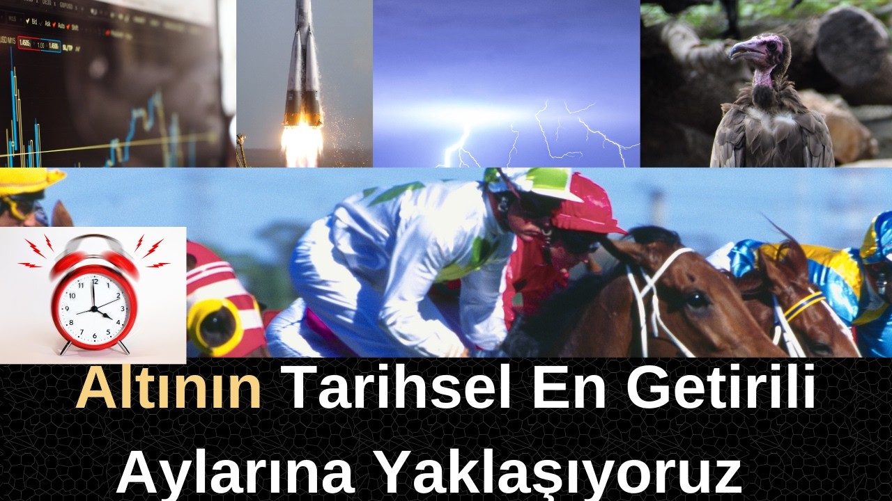 Vergi Rekortmenliğim Bende Kalsın Abi, Varlıklara Midik Yarıştırtma Sepet Yap Biriktir Seninde Olur