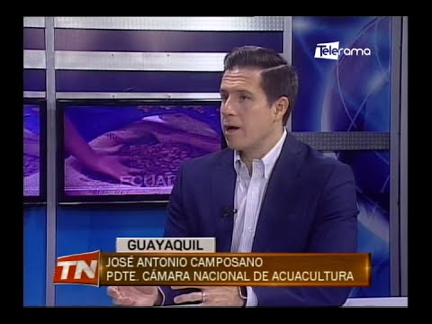 Hacia Dónde Vamos: La industria camaronera ecuatoriana