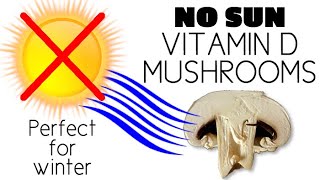WINTER & NO SUN? DO THIS! How To Make Vitamin D Mushrooms Without Sun or UV Index