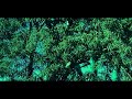 Raptor CedarPointVideos B M Invert 2022
