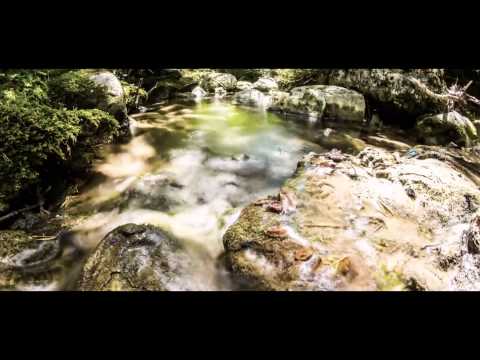 Q - FAUSZ (prod. ka-meal)