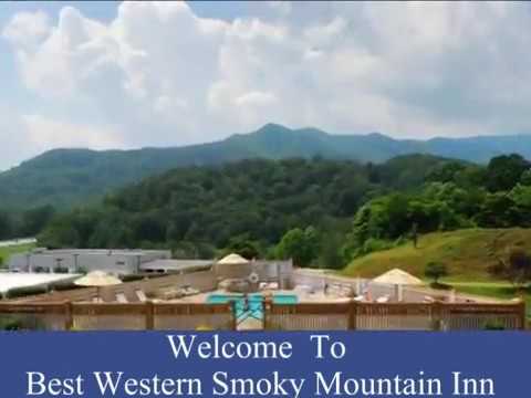 Best Western Smoky Mountain Inn