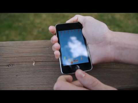 A Wonderful Iphone Game -- #BirdStrike