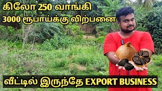Easy export business |புதிய தொழில் வாய்ப்பு |Yummy vlog tamil