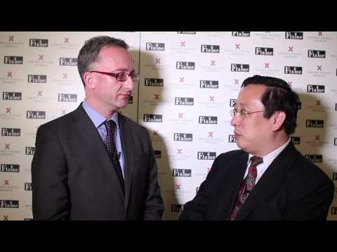 On the role of China in the Global Energy Markets (2013)