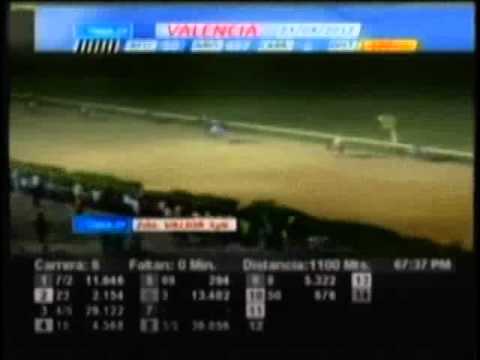 Resumen Jueves, 23 de Agosto de 2012 - Valencia