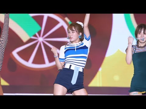 아이콘
