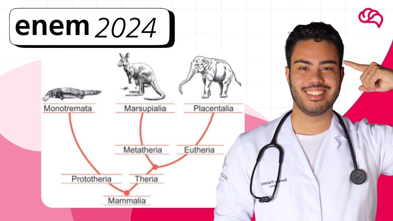 Resolução em Vídeo — Questão 98 ENEM 2024