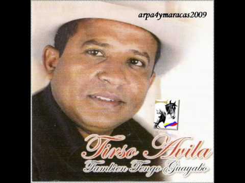 Tirso Avila Soy Un Borracho Perdido (También Tengo un Guayabo)