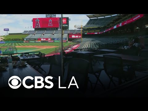 Angels unveil new lineup of delicious food items ahead of upcoming season