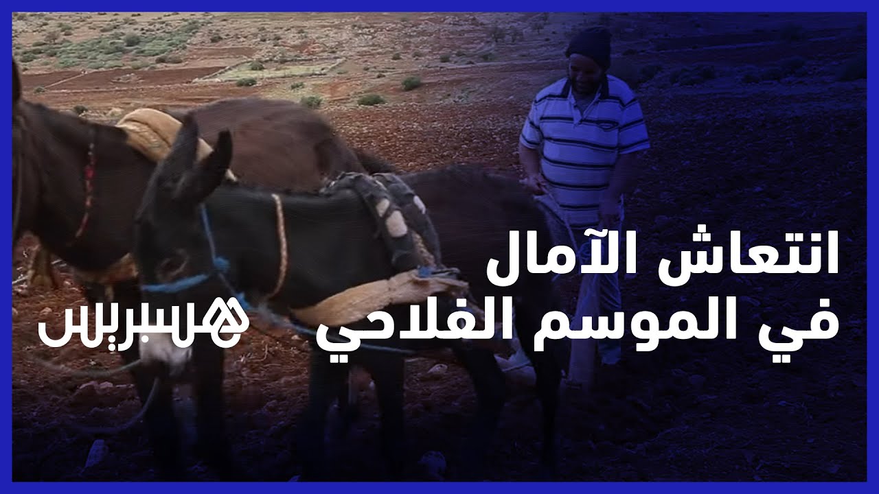 الأمطار تنعش آمال الفلاحين في الموسم الفلاحي.. فلاحون يطلقون عمليات الحرث في منطقة فم العنصر thumbnail