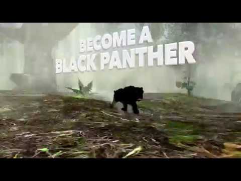 Panther Simulator Video
