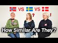 Can Nordic Countries Understand Each Other (Danish, Swedish, Norwegian)