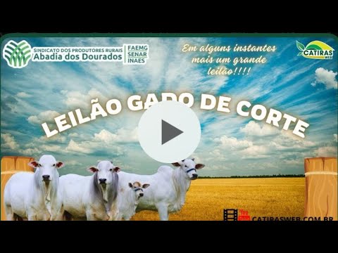 LEILÃO AO VIVO SINDICATO RURAL DE ABADIA DOS DOURADOS - MG - 06 DE NOVEMBRO DE 2025.