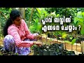 How To Bud Jackfruit I Jackfruit Budding Malayalam I പ്ലാവ് ബഡ്ഡിങ്ങ്  ചെയ്യാ