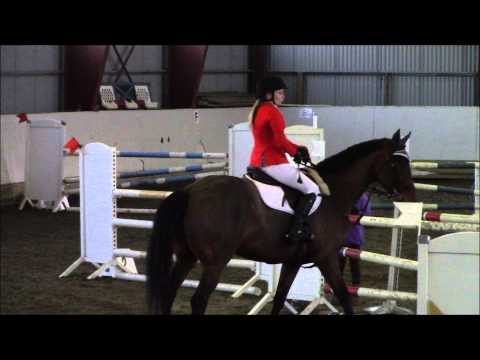 Doña Paloma - 100 & 110 cm 31.01.15 - Øysand