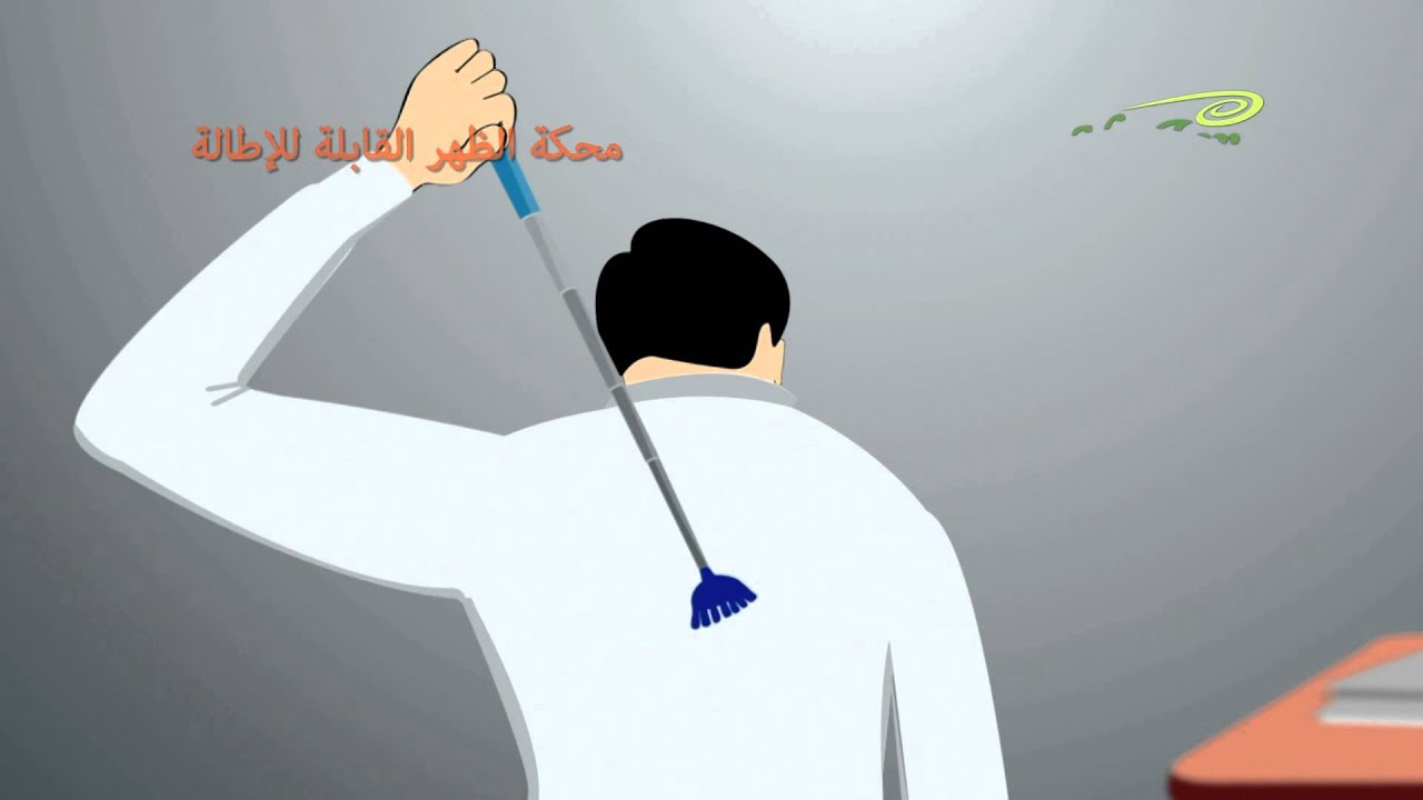 Back Scratcher Extendable