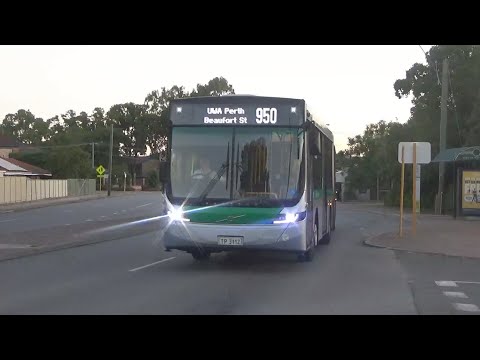 Evening Transperth bus spotting