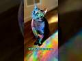 Cats: Are They Secret Extraterrestrial Probes with Interdimensional Eyes?   #shorts #cat