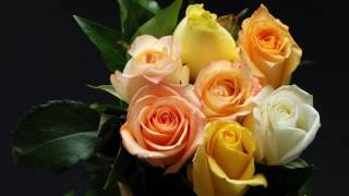 Slideshow with beautiful music (Gandalf - Alhambra - Reflections) (HD)