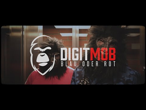 SAFEMEDIA // DIGIT MOB - BLAU ODER ROT