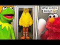 Tik Tok Memes Kermit The Frog And Elmo Sent Me
