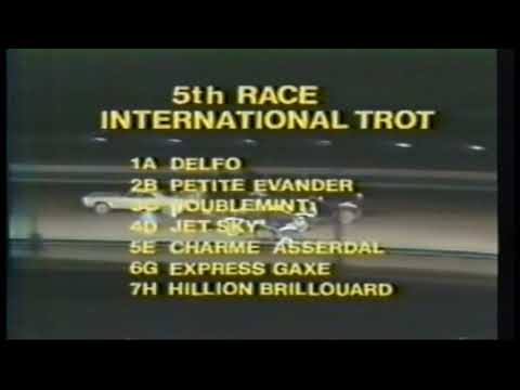 1979 Roosevelt Raceway - Doublemint & Peter Haughton - International Trot