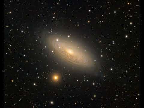 Spiral Galaxy NGC 2841 #shorts