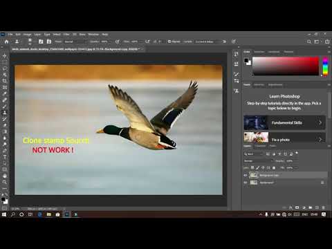 Clone Stamp tool Sourch is not working in Photoshop CC 2020