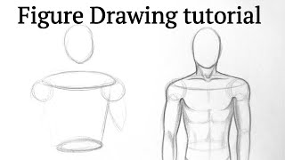 How to draw human figure drawing Male Torso easy f